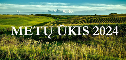 metų ūkis.jpg