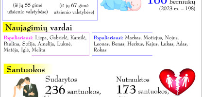 2024 metų statistika.jpg