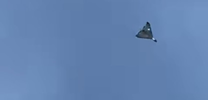 dronas.jpg