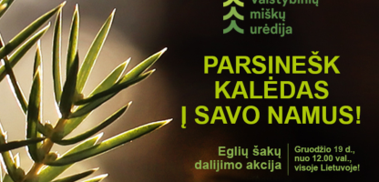 akcija.png