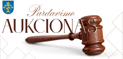 Aukcionas svetainei.jpg