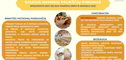 ivairus maketai (7) (002).png
