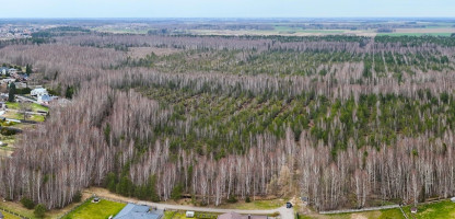 DJI_20260415163812_0197_D-Pano-mažinta.jpg